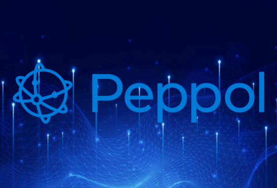Met Nmbrs Accounting ben jij 100% Peppol-proof
